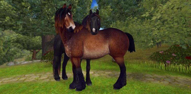 Star Stable: Das Nordschwedische Kaltblut in neuen ...