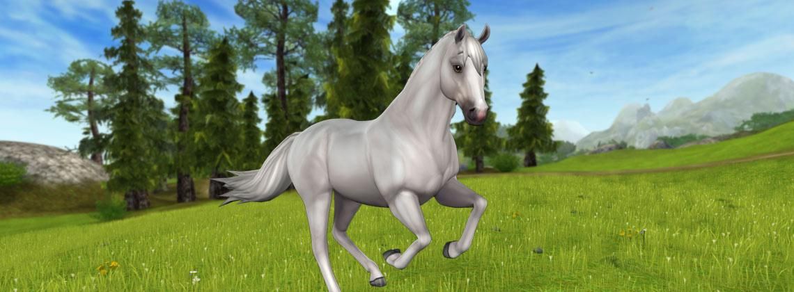 Star Stable - "Jorviksches Warmblut" im neuen Look Star Stable - "Jorviksches Warmblut" im neuen Look