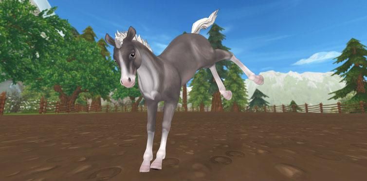 Star Stable Sat1 Star Stable Sat1