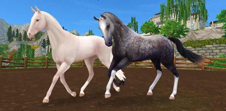 Star Stable - Neue Achal-Tekkiner Star Stable - Neue Achal-Tekkiner
