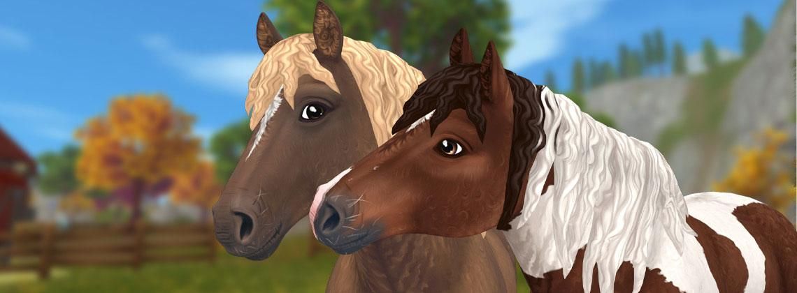 Star Stable Das Spiel Star Stable Das Spiel