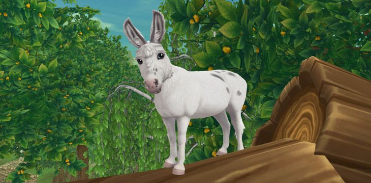 Star Stable Screenshot Esel Star Stable Screenshot Esel