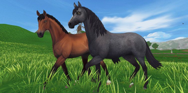 Star Stable Privatsphare In Der Reithalle Sat1spiele