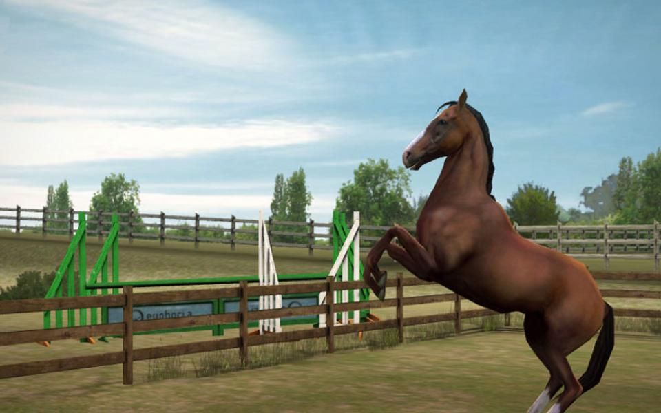 Horse Life Kostenlos Spielen Horse Life Kostenlos Spielen