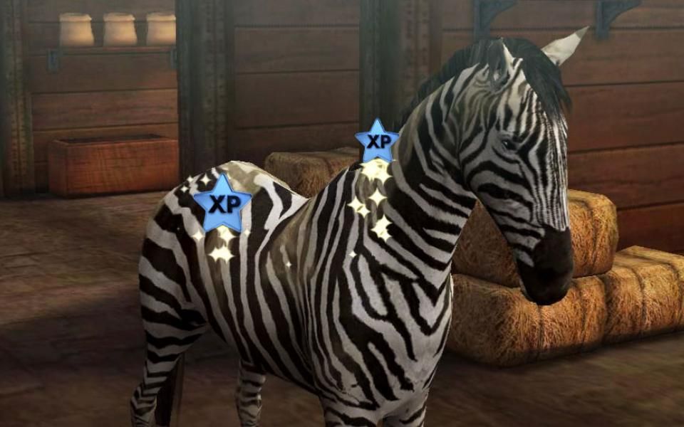 My Horse Kostenlos My Horse Kostenlos